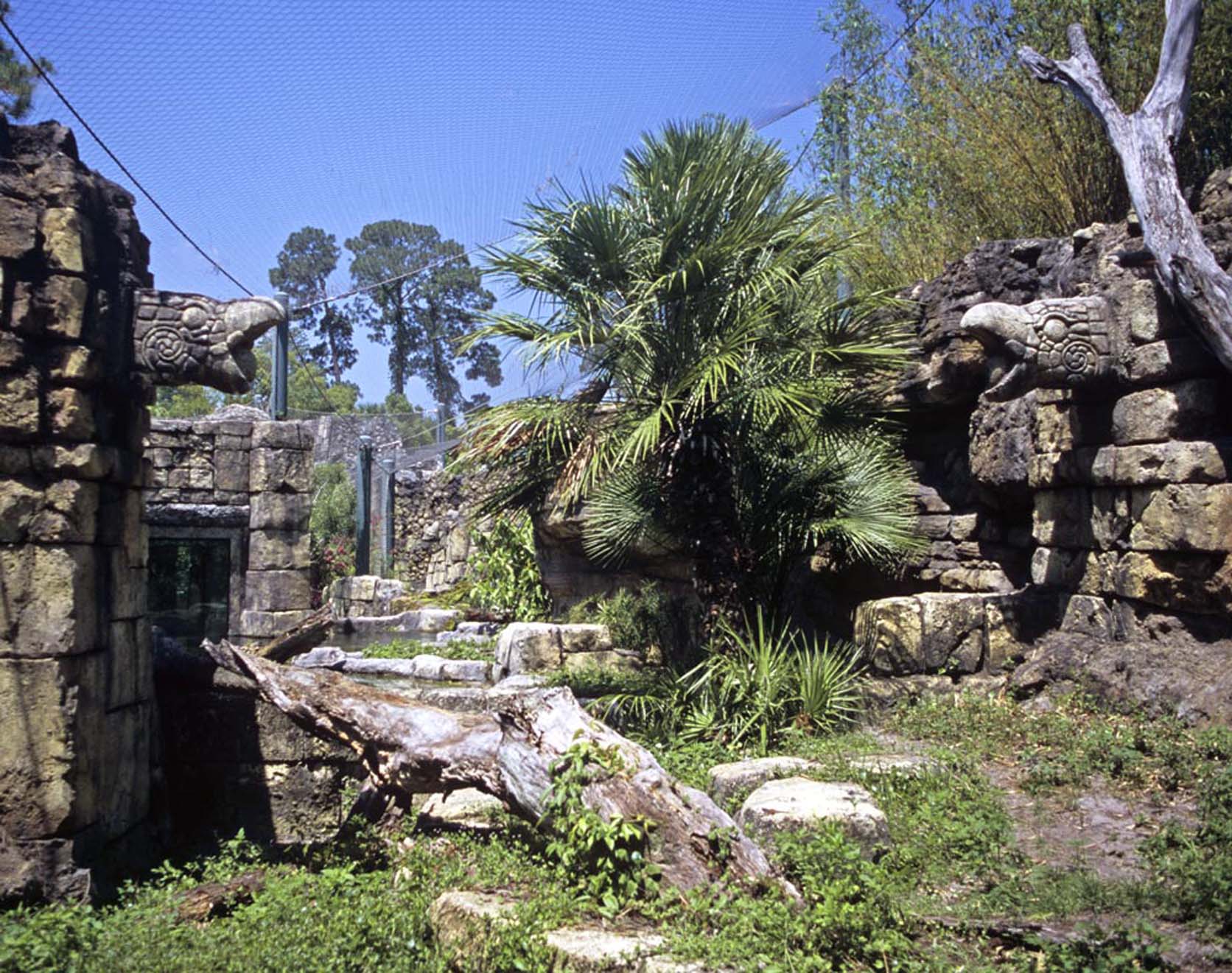 Jacksonville Zoo and Gardens catches another case of Jaguar fever