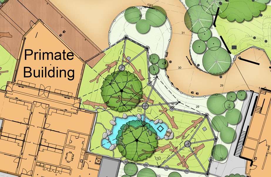 Picture of Primate Forest - CLR Design